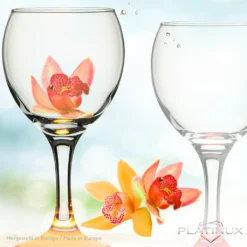 Trinkgläser Bunt Aus Glas Weingläser Mit Buntem Stiel 220ml Set 6-Teilig Getränkeglas Wasserglas Weißweingläser 12 Trinkgläser Bunt Aus Glas Weingläser Mit Buntem Stiel 220ml Set 6-Teilig Getränkeglas Wasserglas Weißweingläser -Küchenzubehör 04fc51e4106ab66456b25fd598038667