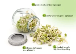 Sprossenglas Duo Set (2x 425 Ml) | Keimgläser Von FLORTUS -Küchenzubehör 18594a209d5f52959f1db6efb907a3c1