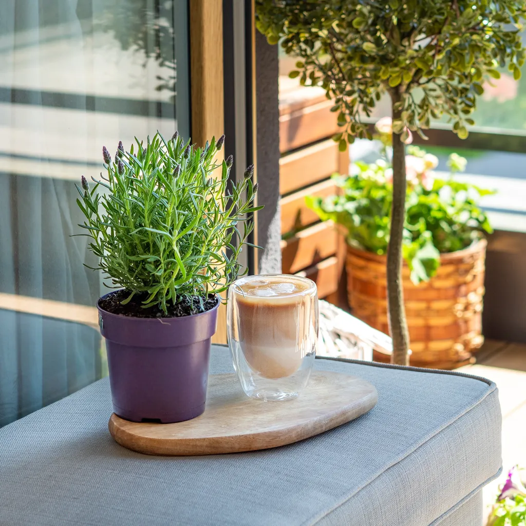 Wessper Latte Macchiato Thermogläser Mit Doppeltem Boden Set 6 X 350 Ml 2 Wessper Latte Macchiato Thermogläser Mit Doppeltem Boden Set 6 X 350 Ml – Bild 2