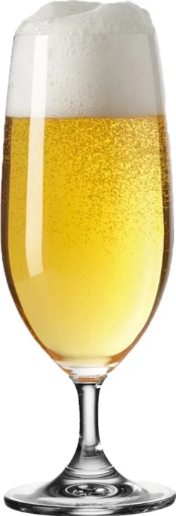 Leonardo Daily 6 Er Krt. Biertulpen -Küchenzubehör 393af5dd7bc5a9e7a17d48f344381608 1