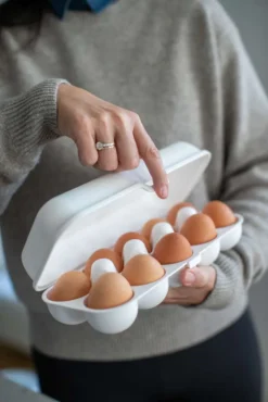 Koziol - Eggs To Go Eierkarton -Küchenzubehör 440236c4154ac80209cfa5babc4c4974