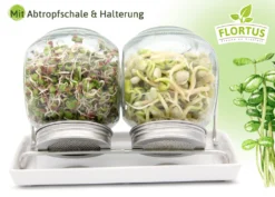 Sprossenglas Duo Set (2x 425 Ml) | Keimgläser Von FLORTUS -Küchenzubehör 4aa4c88c3c15a5aaa7af9c621e5536e3