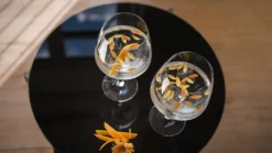 Holmegaard Perfection - Gin Gläser 90 Cl, Klar 2 Stück -Küchenzubehör 4e303abf4db3521023806f54425ac993