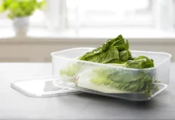 Plast Team Gefrierdose Helsinki 1,5 Liter Rechteckig -Küchenzubehör 5e8d3c5984e3f93a5a1a2bde7d1ade71