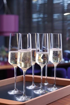 LEONARDO Sektglas PUCCINI 6er-Set 280 Ml, 069550 -Küchenzubehör 6d191464b7925c9a162effb69855043e