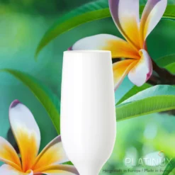 Weiße Sektgläser Set 6 Teilig Champagnergläser 160ml (max. 200ml) Aus Glas -Küchenzubehör 71e37cf06c21062af65bcb33b4e3921a