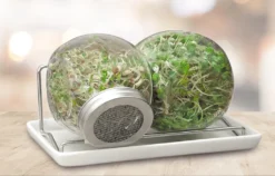 Sprossenglas Duo Set (2x 425 Ml) | Keimgläser Von FLORTUS -Küchenzubehör 9d6e85058f91c1d1b2d658b209d40282