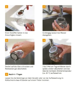 Sprossenglas Duo Set (2x 425 Ml) | Keimgläser Von FLORTUS -Küchenzubehör ea992050df5b038eafd5e9097803129a