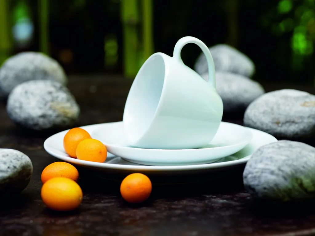 Mäser 102034 Kombiservice Alesia Für 6 Personen, Porzellan, Weiß (1 Set, 62-teilig) 2 Mäser 102034 Kombiservice Alesia Für 6 Personen, Porzellan, Weiß (1 Set, 62-teilig) – Bild 2